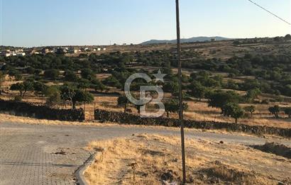 Dazyurt'ta Köye Sınır Arazi