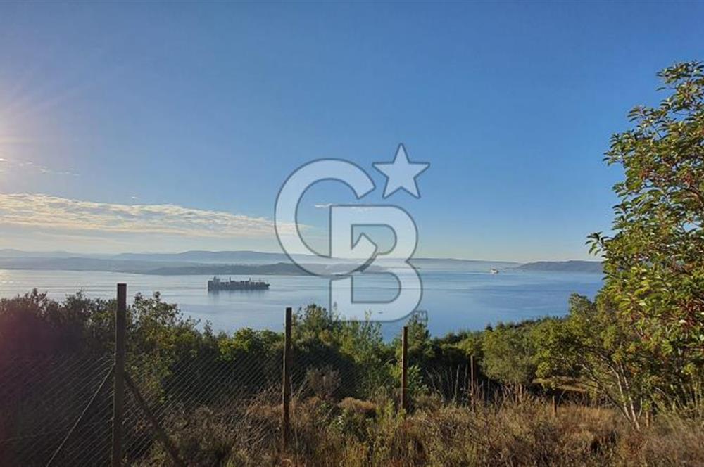 ÇANAKKALE TARLA