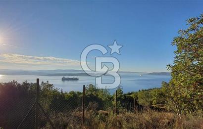 ÇANAKKALE TARLA