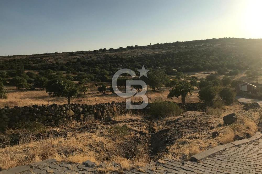 Dazyurt'ta Köye Sınır Arazi