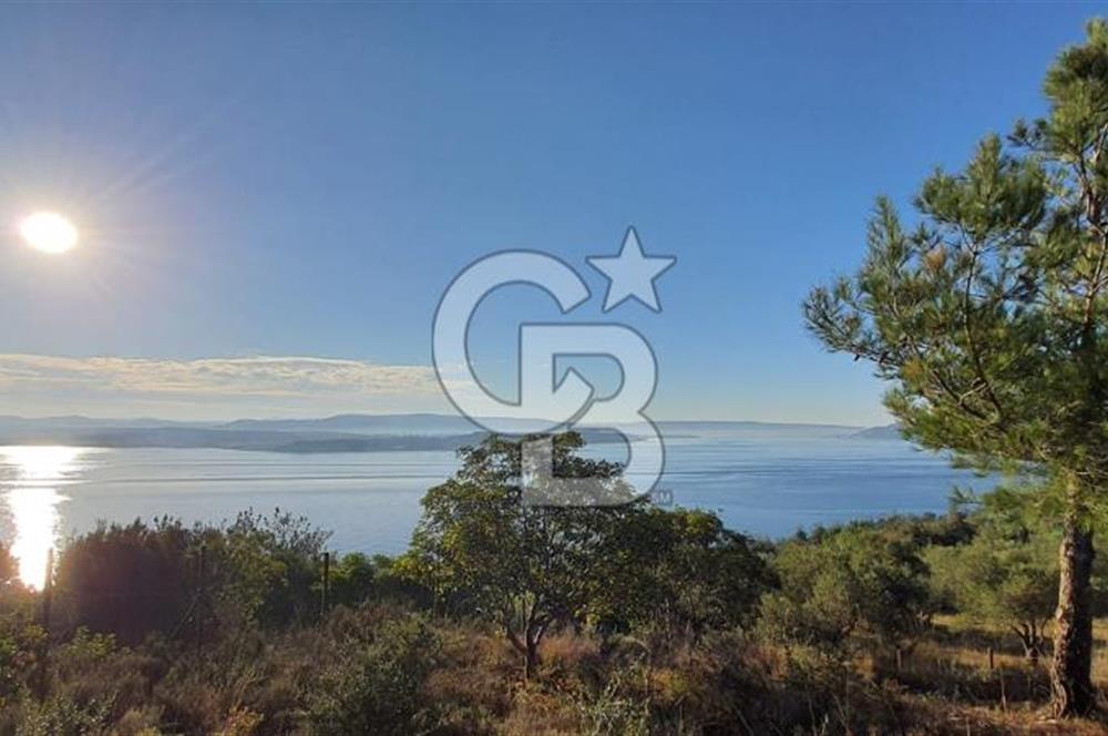 ÇANAKKALE TARLA