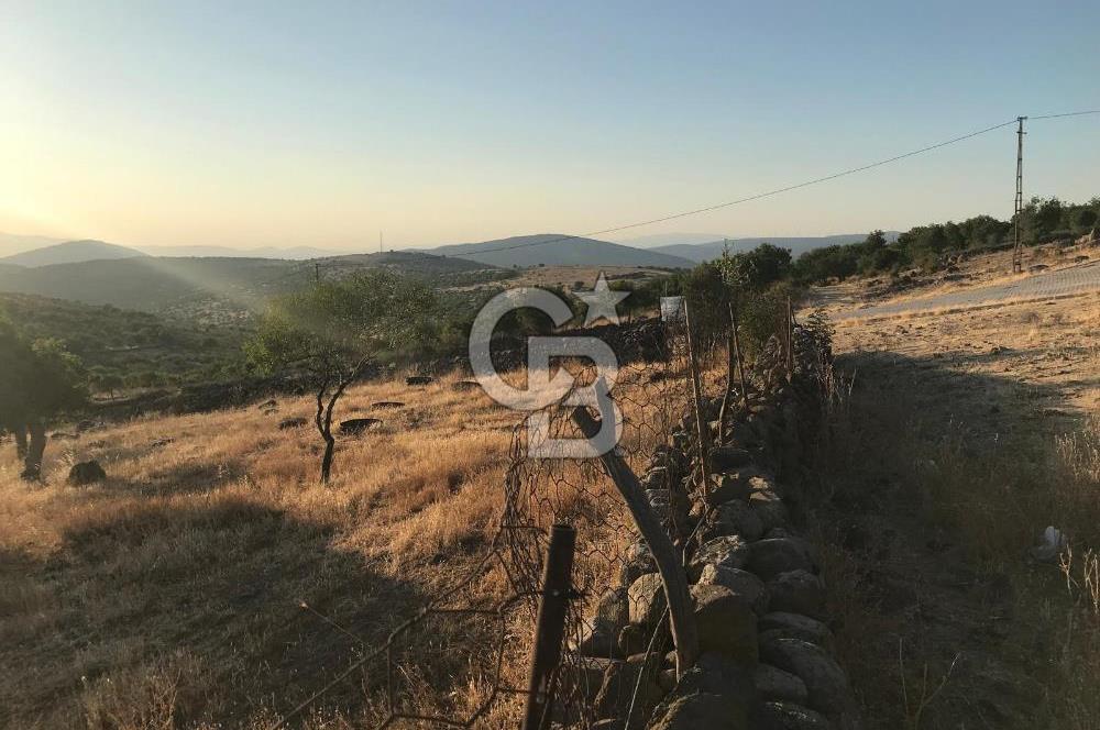 Dazyurt'ta Köye Sınır Arazi