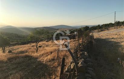 Dazyurt'ta Köye Sınır Arazi