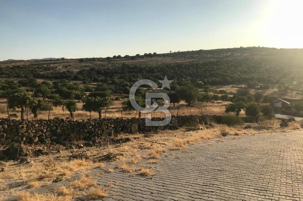 Dazyurt'ta Köye Sınır Arazi