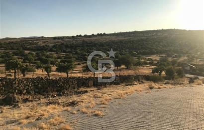 Dazyurt'ta Köye Sınır Arazi