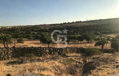 Dazyurt'ta Köye Sınır Arazi