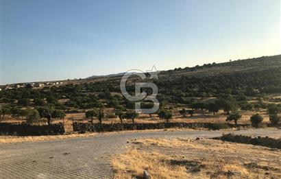 Dazyurt'ta Köye Sınır Arazi