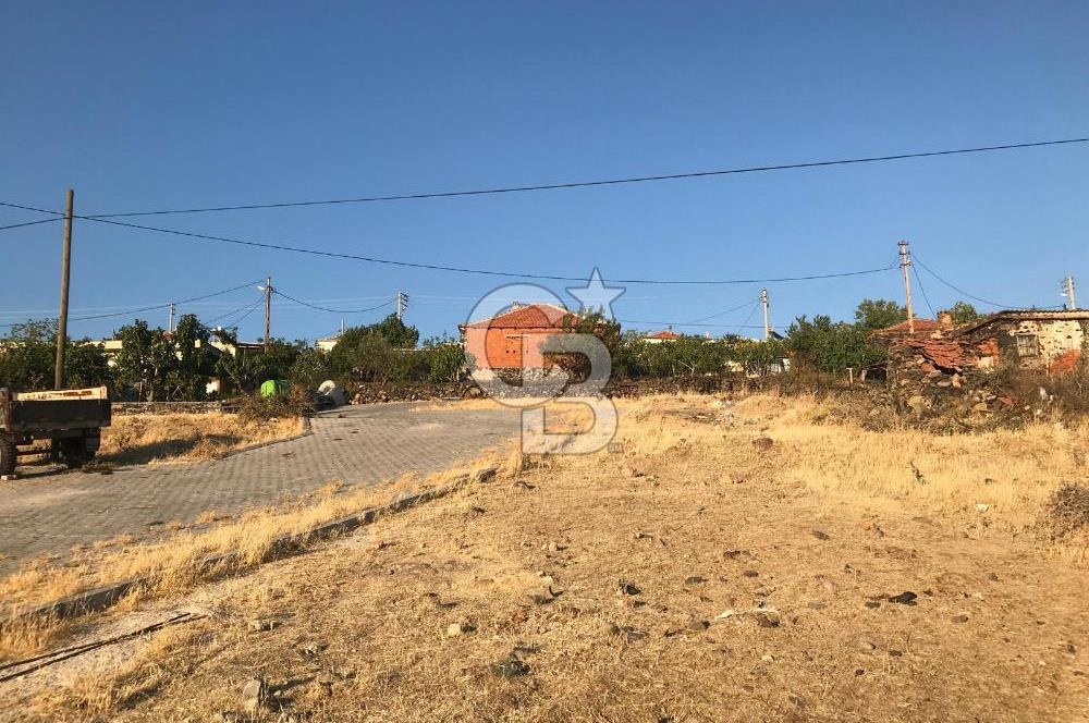 Dazyurt'ta Köye Sınır Arazi
