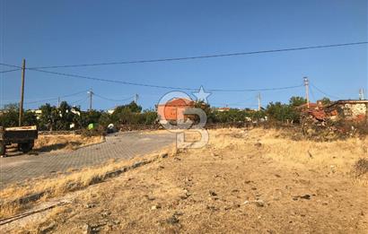 Dazyurt'ta Köye Sınır Arazi