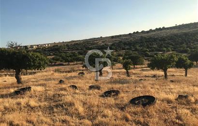 Dazyurt'ta Köye Sınır Arazi