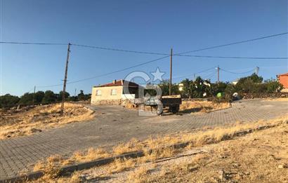 Dazyurt'ta Köye Sınır Arazi