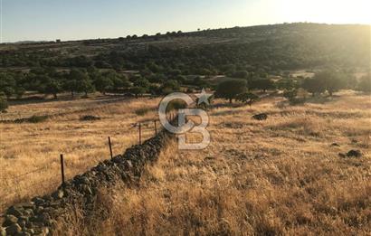 Dazyurt'ta Köye Sınır Arazi