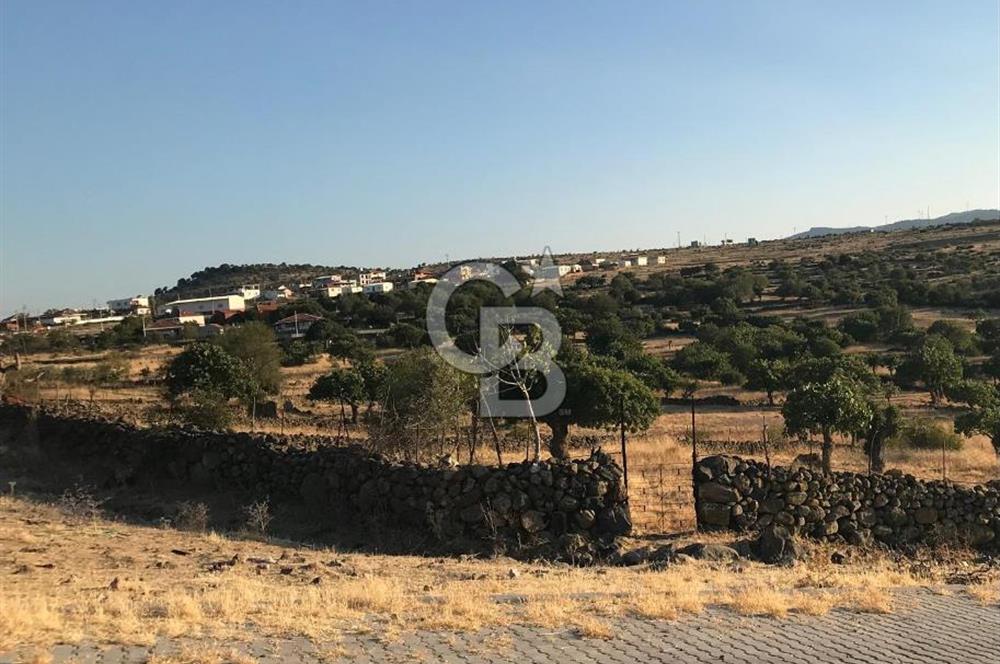 Dazyurt'ta Köye Sınır Arazi