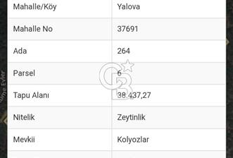 ÇANAKKALE TARLA