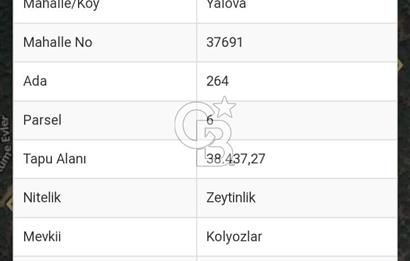 ÇANAKKALE TARLA