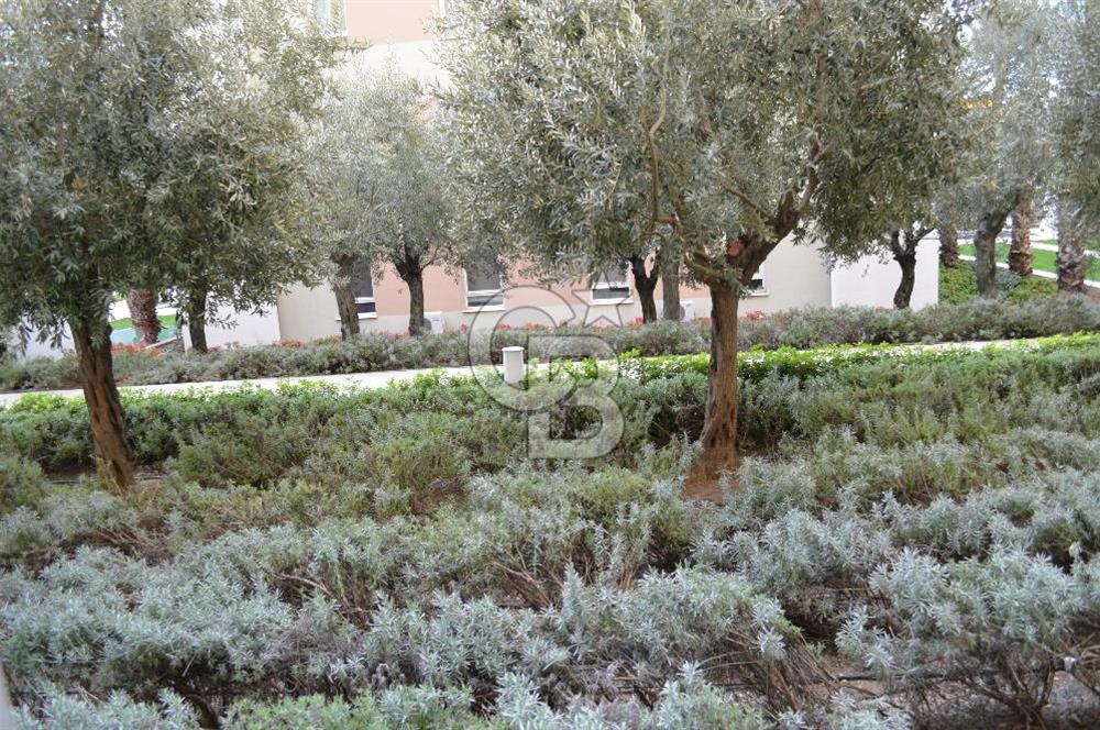 Soyak Siesta 1.Etap Giriş Kat Eşyalı 2+1 Kiralık Daire Fulya Tok tan