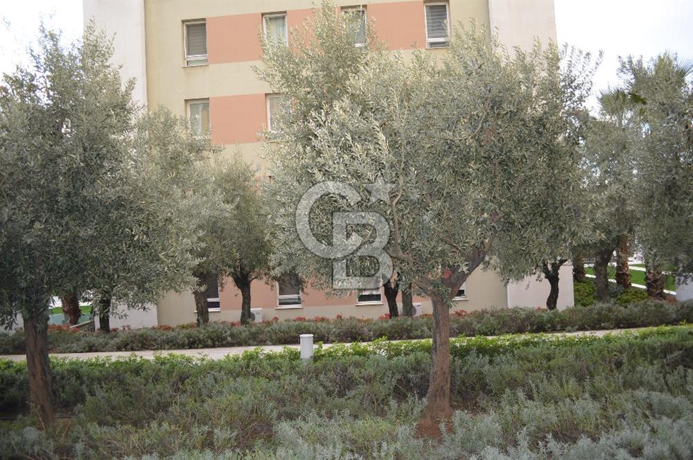 Soyak Siesta 1.Etap Giriş Kat Eşyalı 2+1 Kiralık Daire Fulya Tok tan