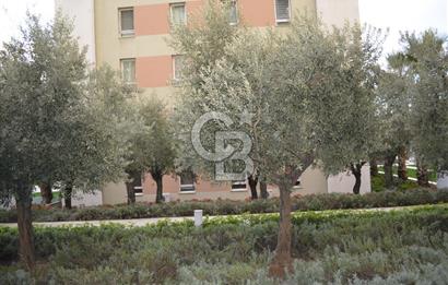 Soyak Siesta 1.Etap Giriş Kat Eşyalı 2+1 Kiralık Daire Fulya Tok tan