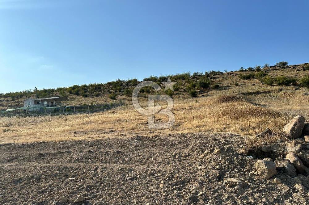 BALIKESİR ALTIEYLÜL NERGİZ MAHALLESİ'NDE SATILIK ARSA