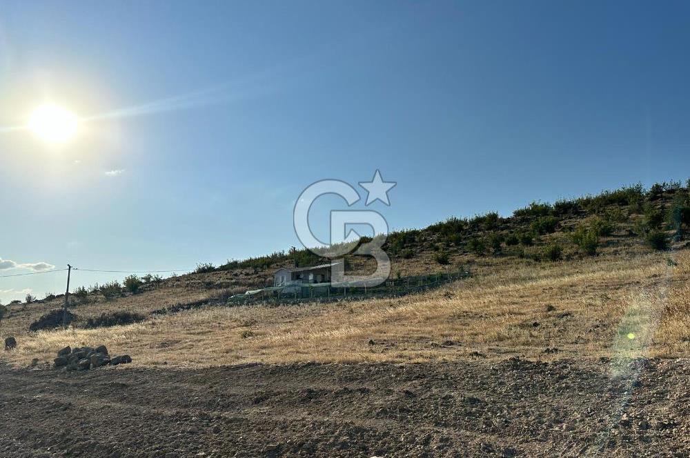 BALIKESİR ALTIEYLÜL NERGİZ MAHALLESİ'NDE SATILIK ARSA