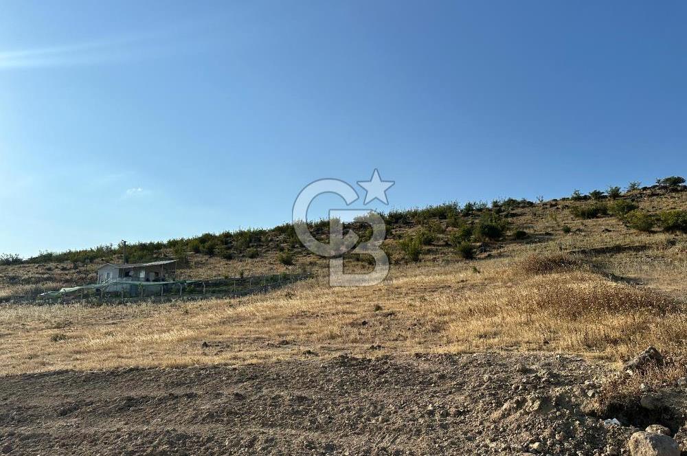 BALIKESİR ALTIEYLÜL NERGİZ MAHALLESİ'NDE SATILIK ARSA