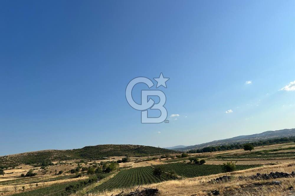 BALIKESİR ALTIEYLÜL NERGİZ MAHALLESİ'NDE SATILIK ARSA