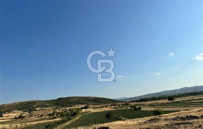 BALIKESİR ALTIEYLÜL NERGİZ MAHALLESİ'NDE SATILIK ARSA