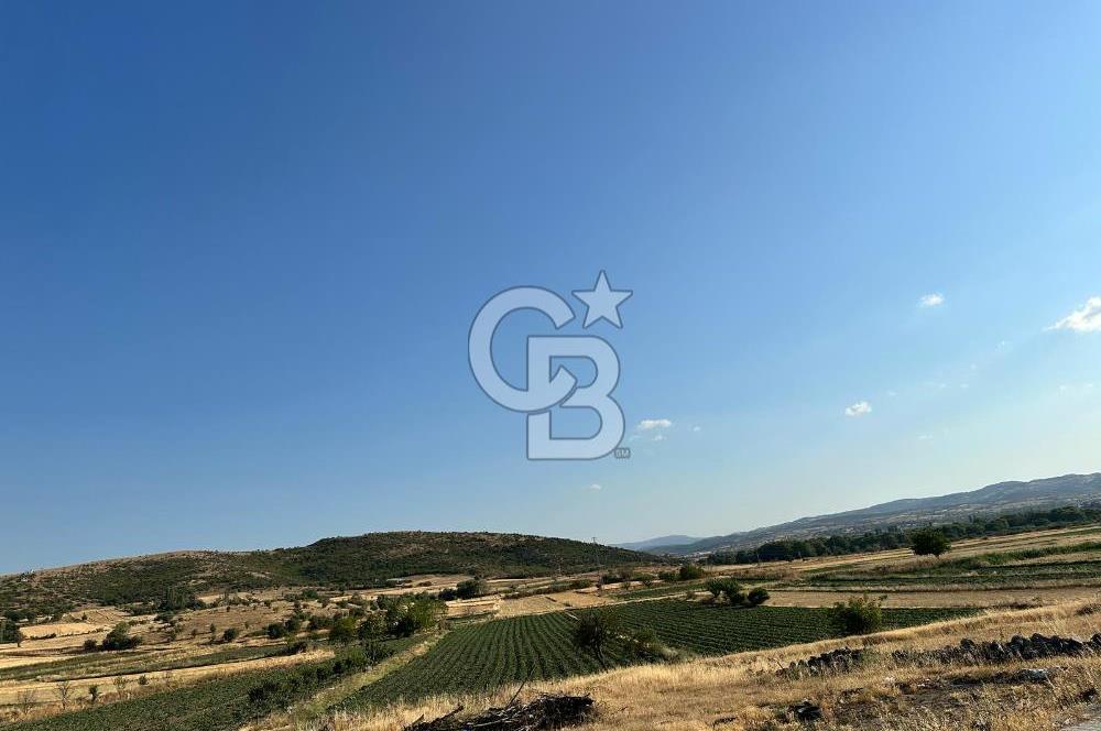 BALIKESİR ALTIEYLÜL NERGİZ MAHALLESİ'NDE SATILIK ARSA