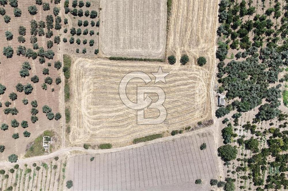 İZMİR Kemalpaşa Mehmet Akif Ersoy Mahallesi'nde  7322 m2 Satılık Bağ&Bahçe