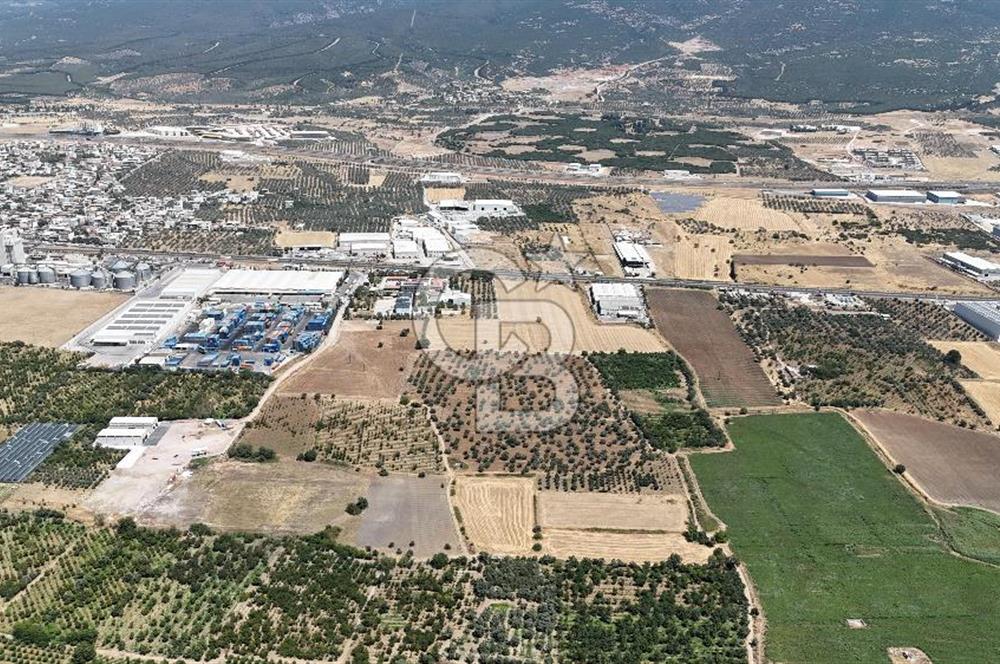 İZMİR Kemalpaşa Mehmet Akif Ersoy Mahallesi'nde  7322 m2 Satılık Bağ&Bahçe