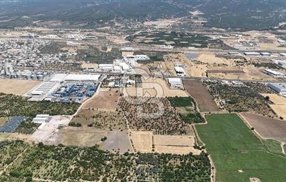 İZMİR Kemalpaşa Mehmet Akif Ersoy Mahallesi'nde  7322 m2 Satılık Bağ&Bahçe