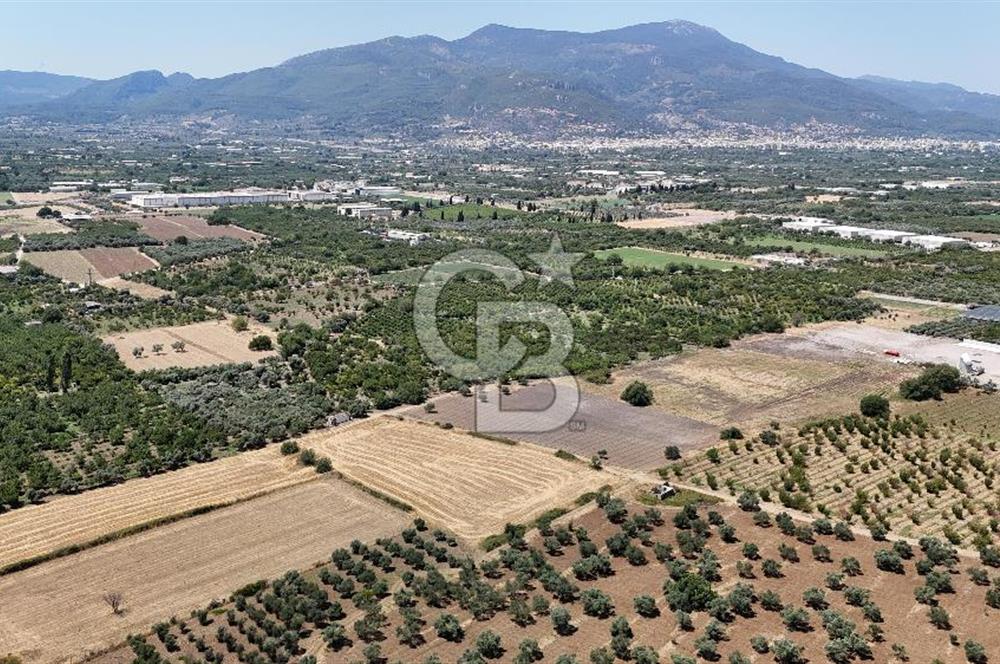 İZMİR Kemalpaşa Mehmet Akif Ersoy Mahallesi'nde  7322 m2 Satılık Bağ&Bahçe