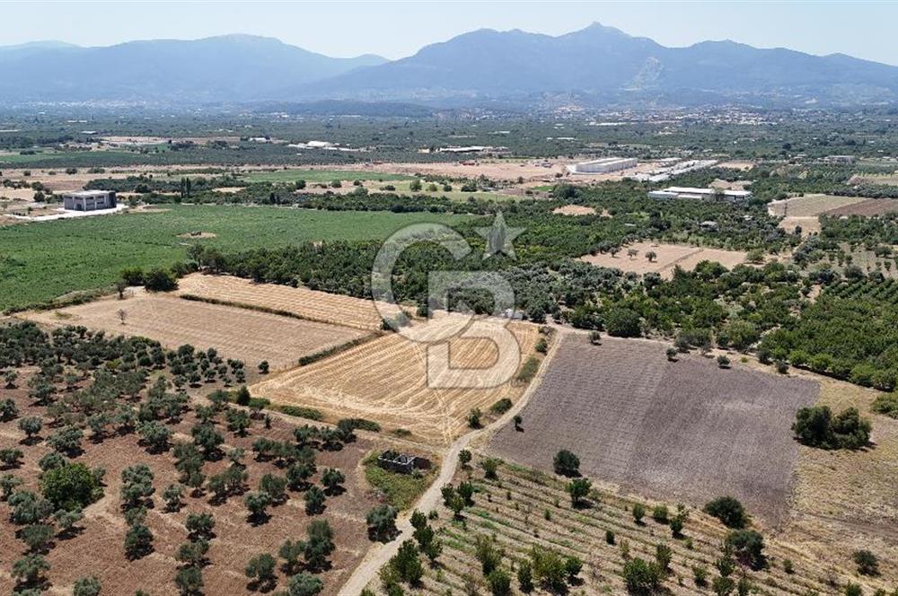 İZMİR Kemalpaşa Mehmet Akif Ersoy Mahallesi'nde  7322 m2 Satılık Bağ&Bahçe