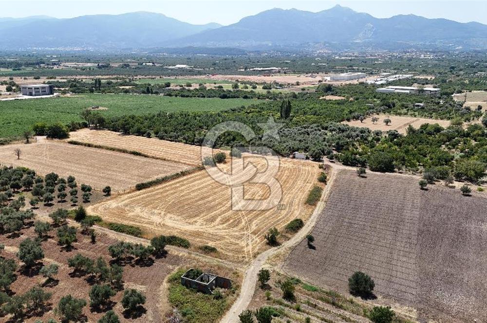 İZMİR Kemalpaşa Mehmet Akif Ersoy Mahallesi'nde  7322 m2 Satılık Bağ&Bahçe