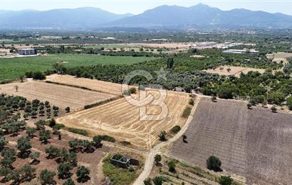 İZMİR Kemalpaşa Mehmet Akif Ersoy Mahallesi'nde  7322 m2 Satılık Bağ&Bahçe