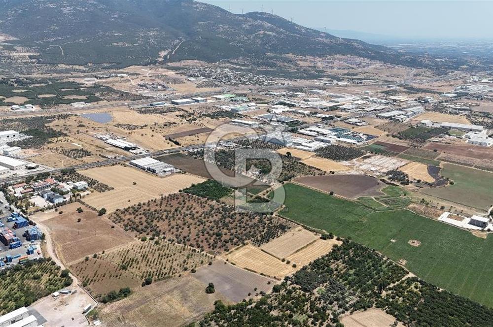 İZMİR Kemalpaşa Mehmet Akif Ersoy Mahallesi'nde  7322 m2 Satılık Bağ&Bahçe