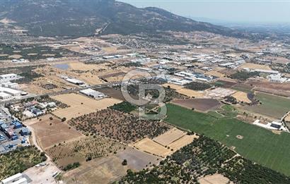 İZMİR Kemalpaşa Mehmet Akif Ersoy Mahallesi'nde  7322 m2 Satılık Bağ&Bahçe