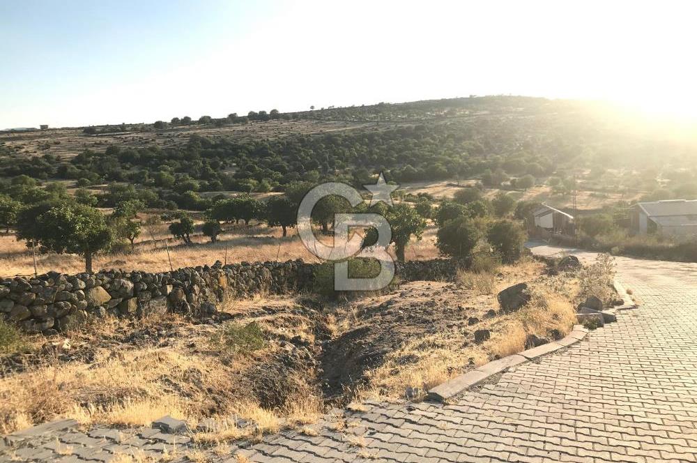 Dazyurt'ta Köye Sınır Arazi