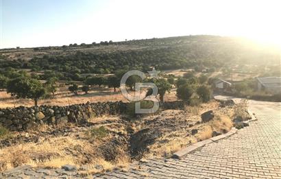 Dazyurt'ta Köye Sınır Arazi