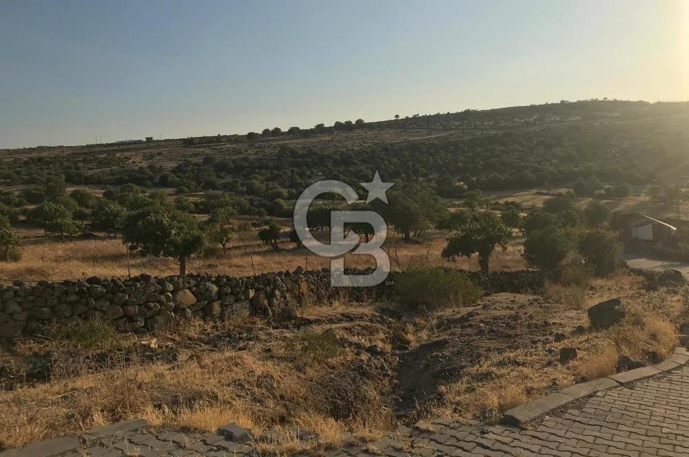 Dazyurt'ta Köye Sınır Arazi
