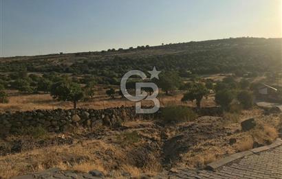 Dazyurt'ta Köye Sınır Arazi
