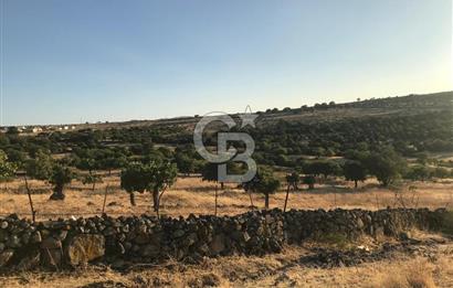 Dazyurt'ta Köye Sınır Arazi