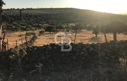 Dazyurt'ta Köye Sınır Arazi