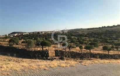Dazyurt'ta Köye Sınır Arazi
