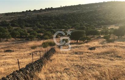 Dazyurt'ta Köye Sınır Arazi