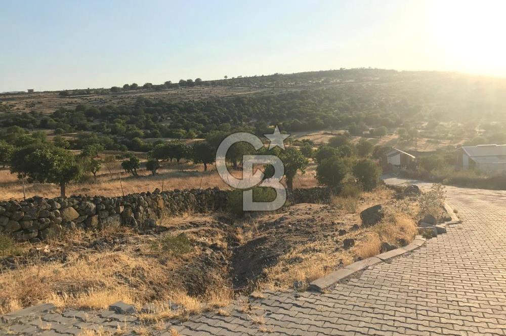 Dazyurt'ta Köye Sınır Arazi