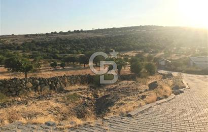 Dazyurt'ta Köye Sınır Arazi