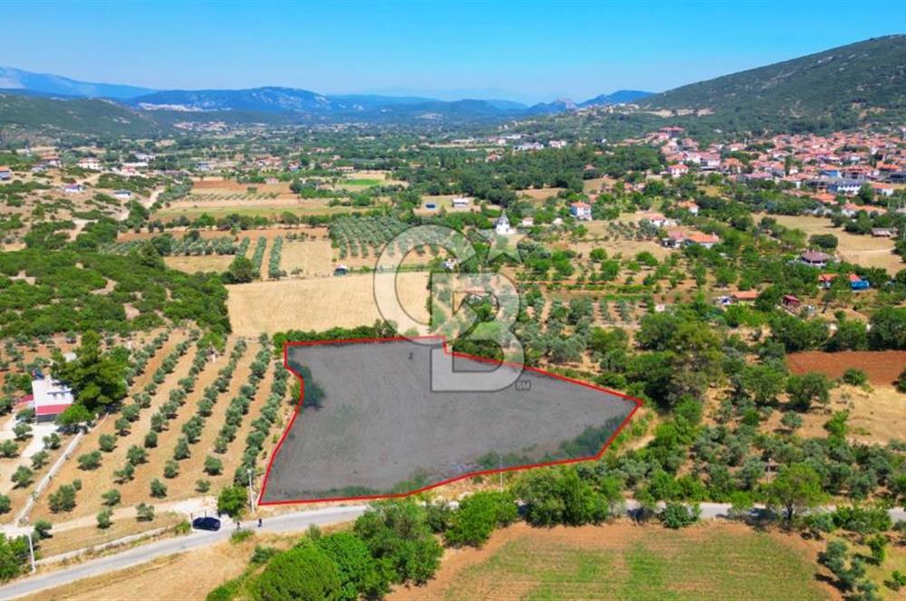 Muğla YERKESIKTE 5517 m2 SATILIK TARLA