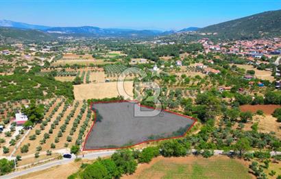 Muğla YERKESIKTE 5517 m2 SATILIK TARLA