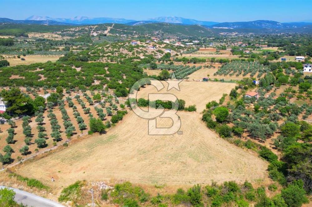Muğla YERKESIKTE 5517 m2 SATILIK TARLA